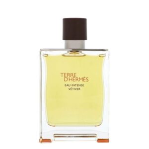 Terre D'Hermes Eau Intense Vetiver
